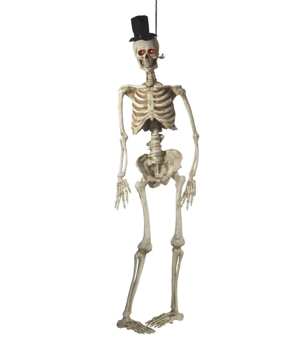 Skeleton mrtvého ženicha II